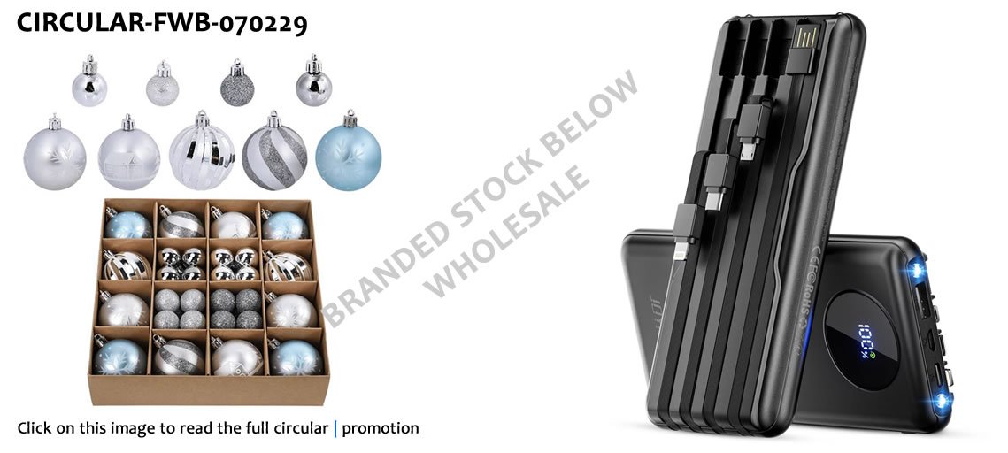 FWB PROMOTION -070229 TRANSITIONARY INVENTORY